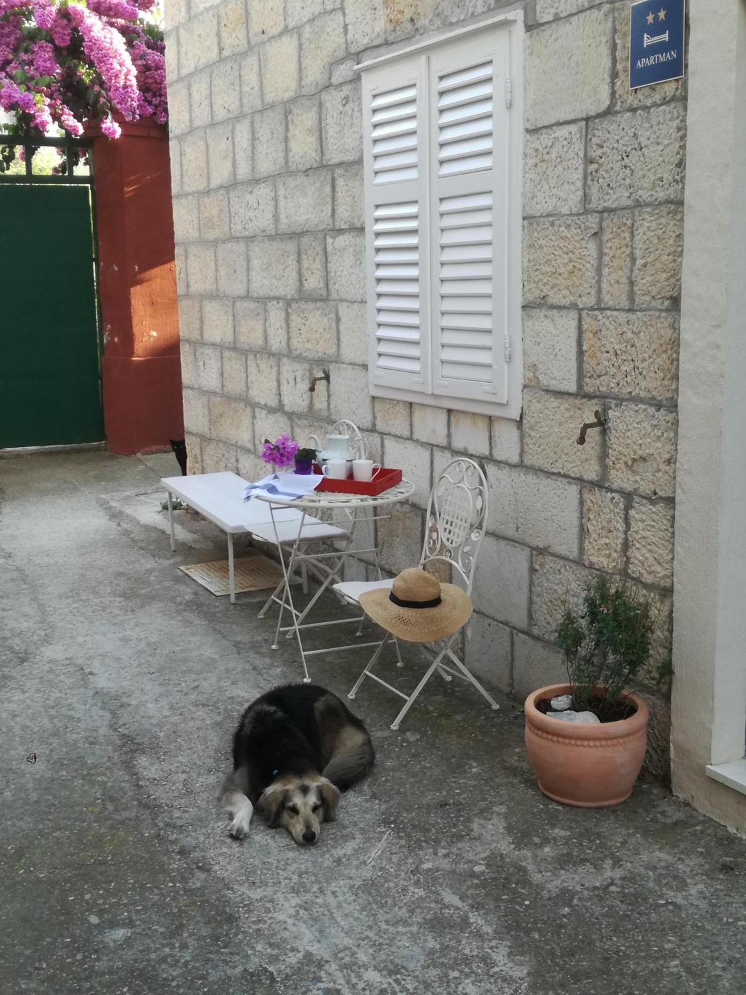 Holiday Home Isabella 维斯 外观 照片